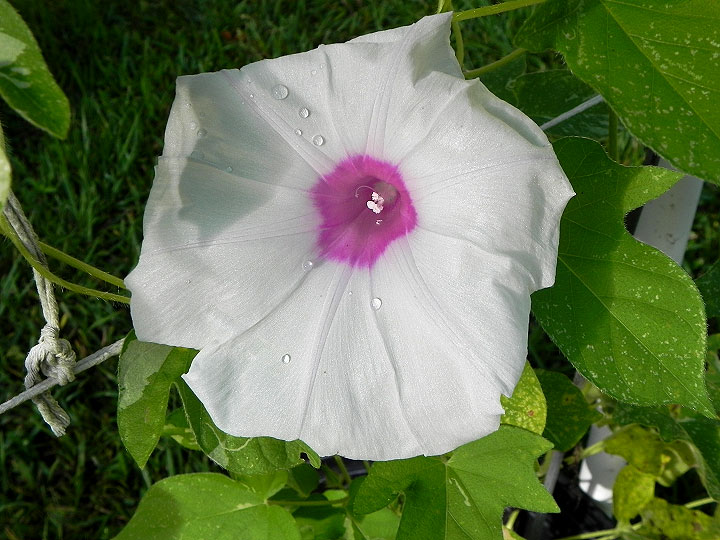 DSCN5319