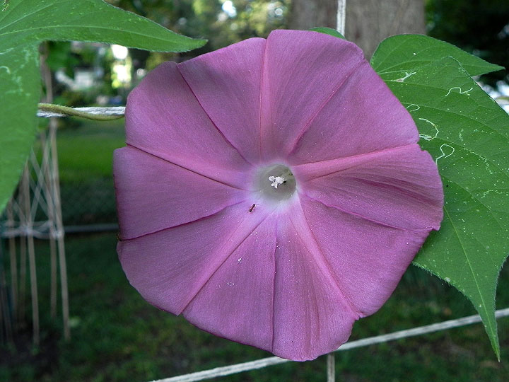 DSCN5325