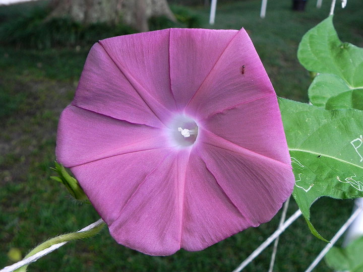 DSCN5438_01
