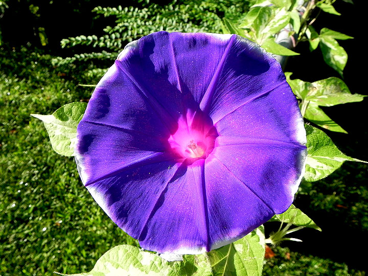 DSCN5463