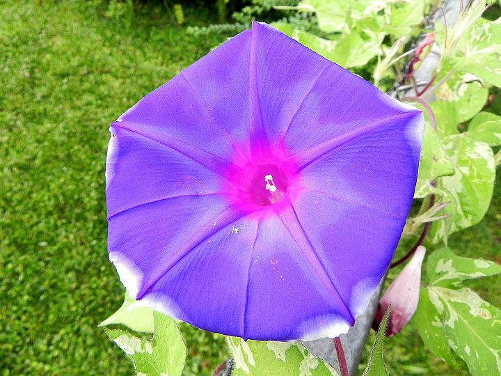 DSCN5582
