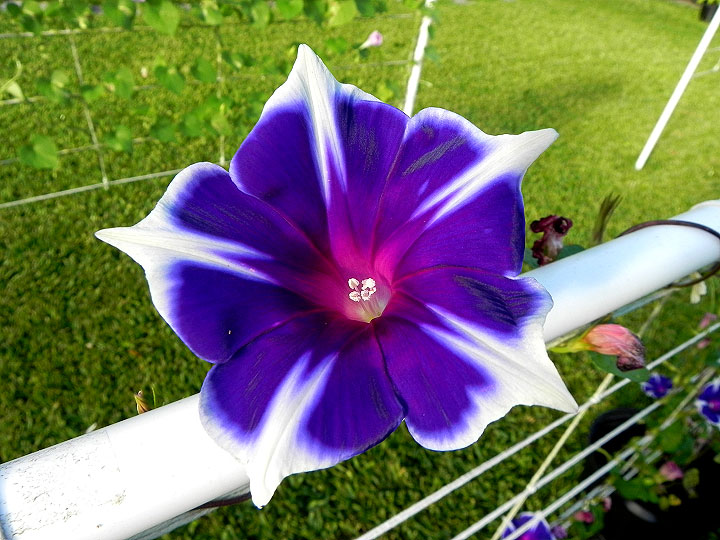 DSCN5638