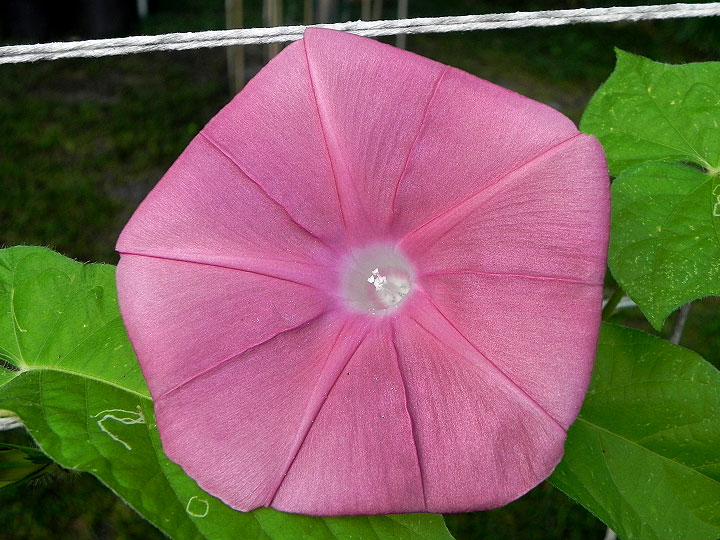 DSCN5668_01