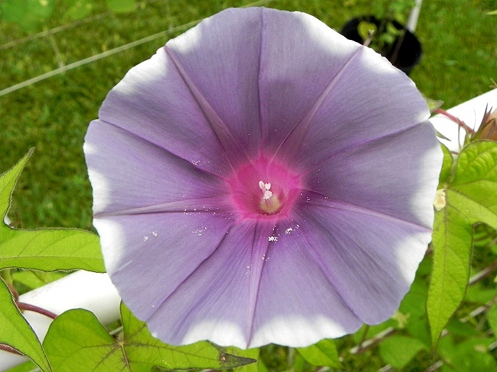 DSCN5680_01