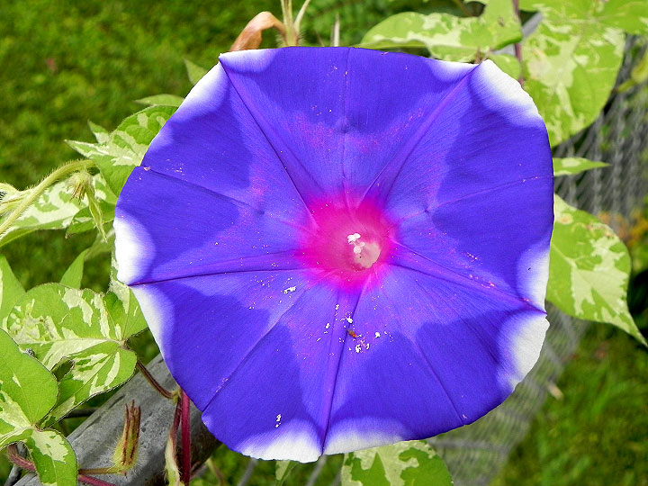 DSCN5699