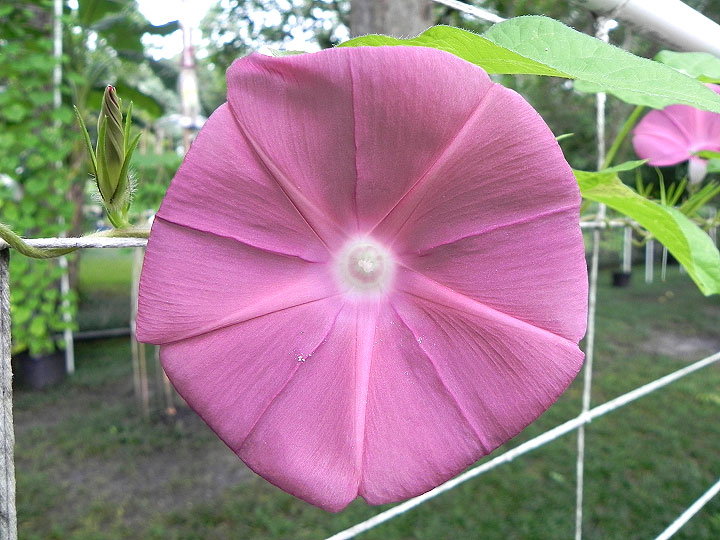 DSCN5729_01