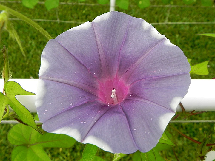 DSCN5741_01