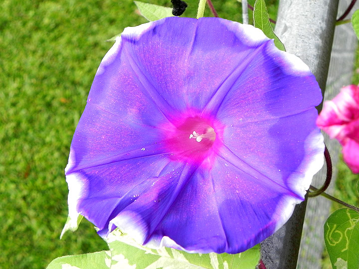 DSCN5756