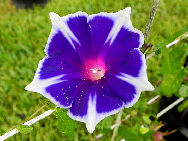 DSCN5922