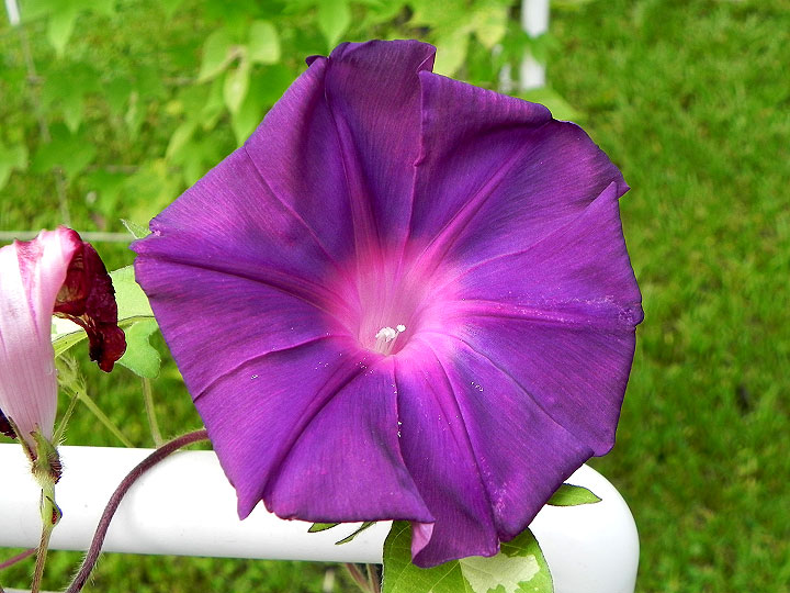 DSCN5939