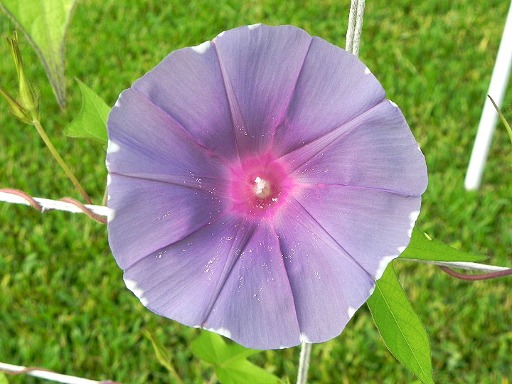 DSCN6053
