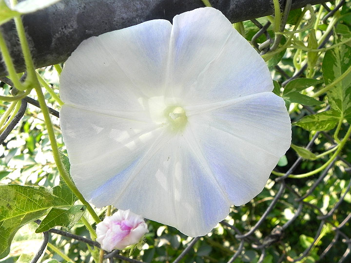 DSCN6149