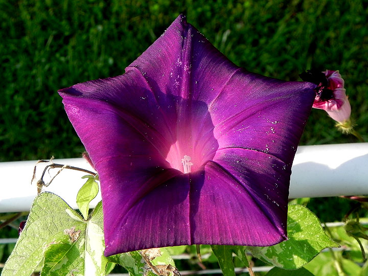 DSCN6158_01