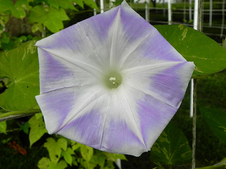 DSCN6182_01