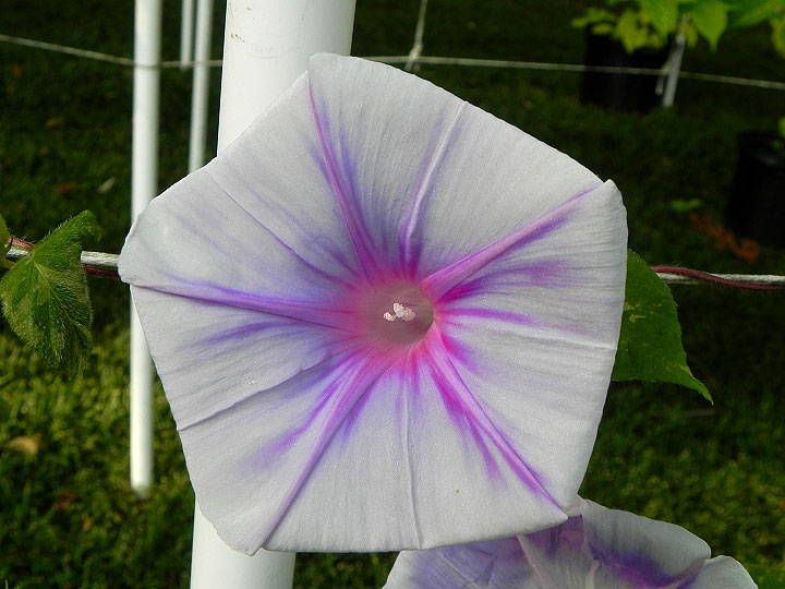 DSCN6183_01