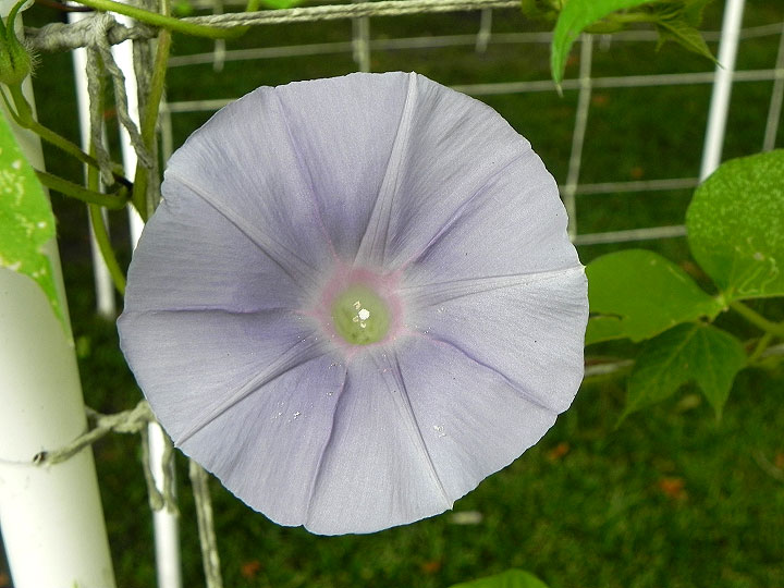 DSCN6184_01