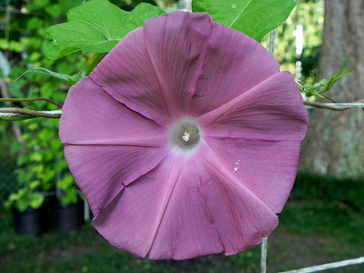 DSCN6186_01
