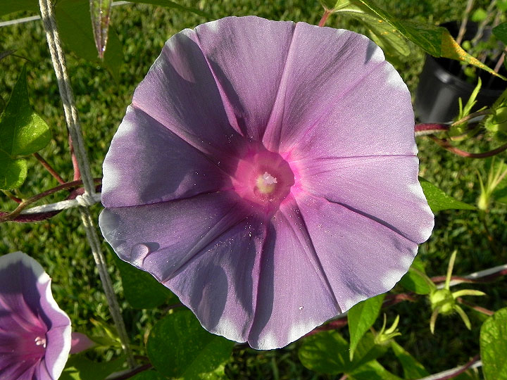 DSCN6210_01