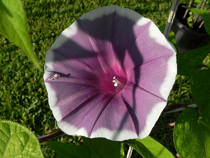 DSCN6211_01