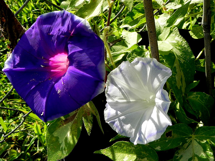 DSCN6226_01
