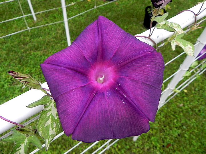 DSCN6316_01