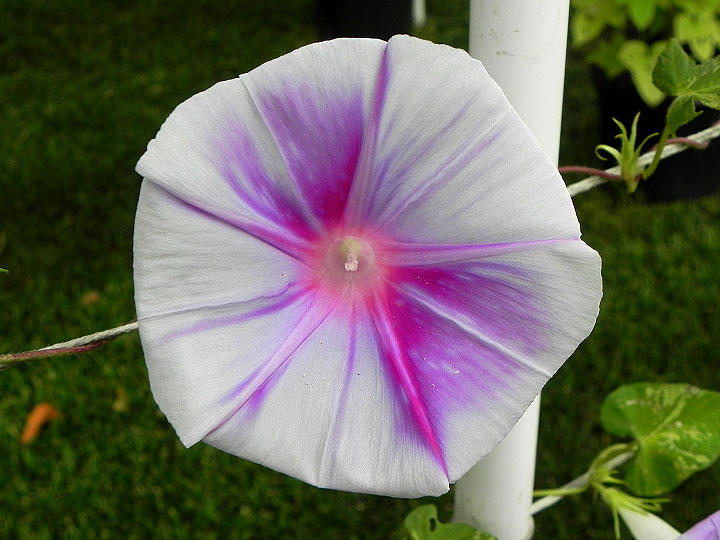 DSCN6343_01