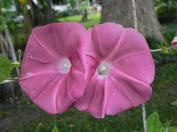 DSCN6347_01