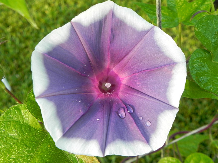 DSCN6375