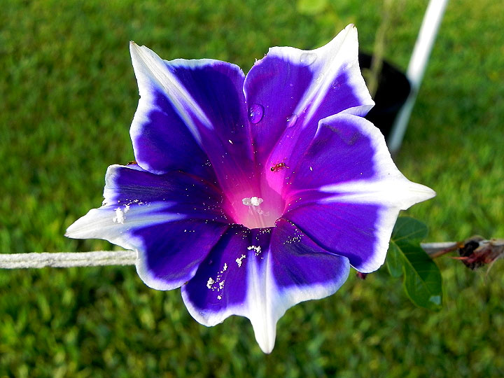 DSCN6383_01