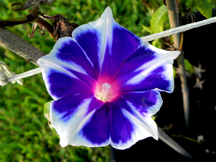DSCN6455_01