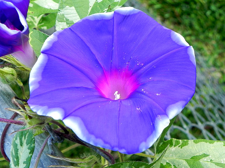 DSCN6653_01