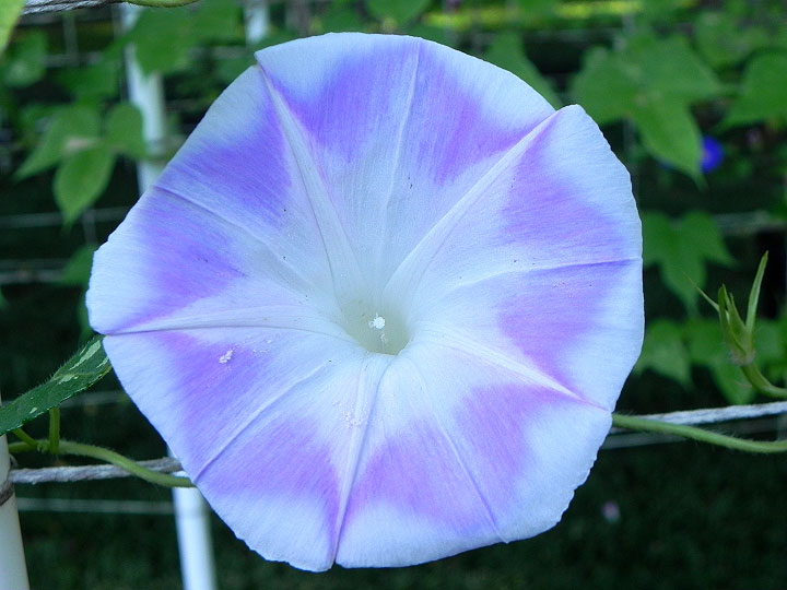 DSCN6682