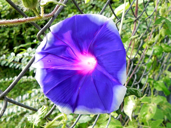 DSCN6785