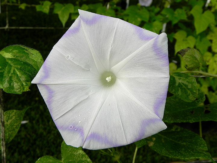 DSCN6814