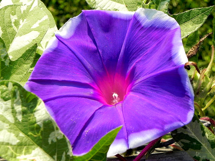 DSCN6843_01