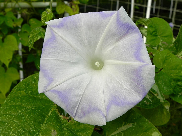 DSCN6977_01
