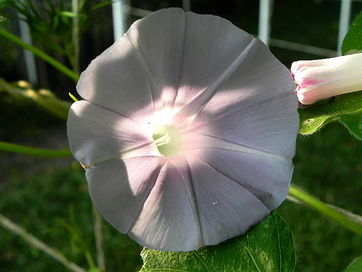 DSCN6978_01
