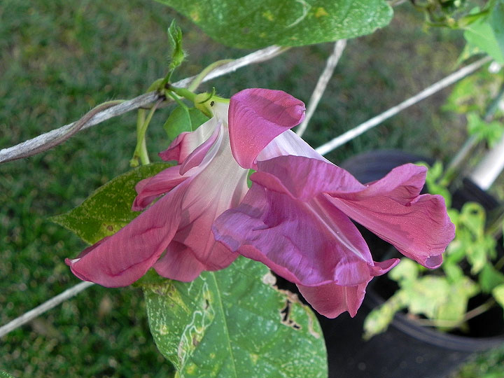DSCN6980_01