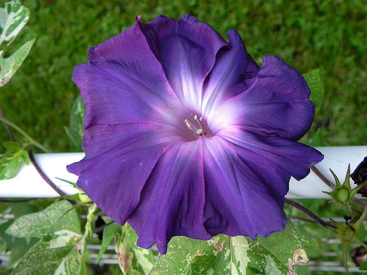 DSCN7020