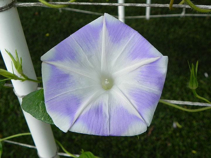 DSCN7039
