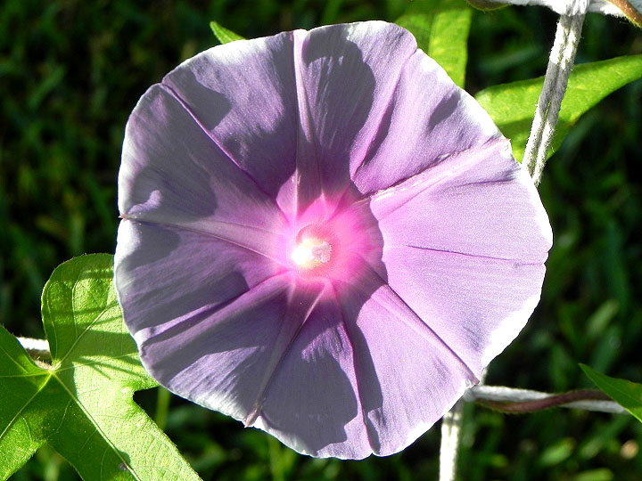 DSCN7158