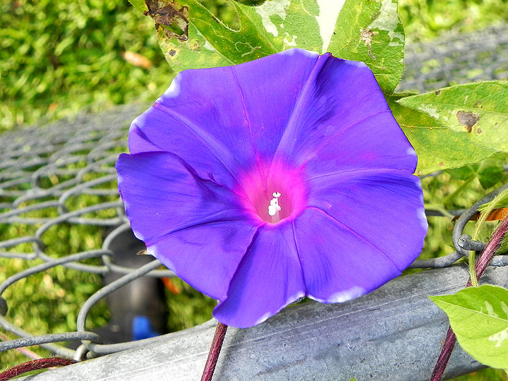 DSCN7260