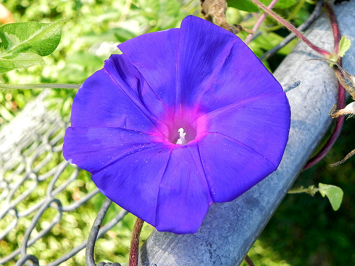 DSCN7383