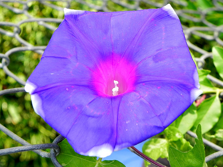 DSCN7452_01