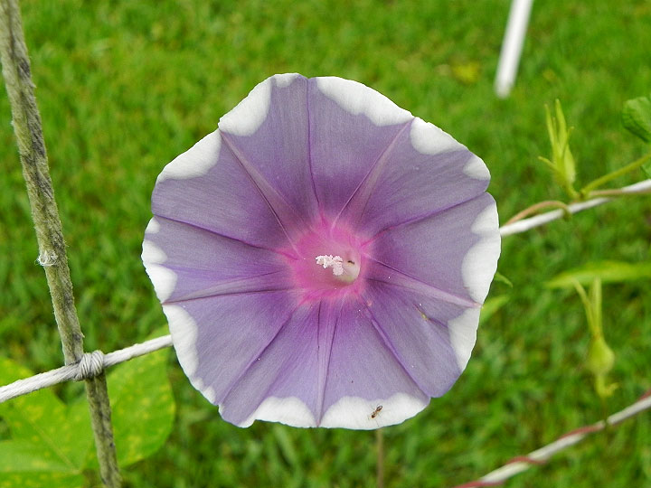 DSCN7499_01