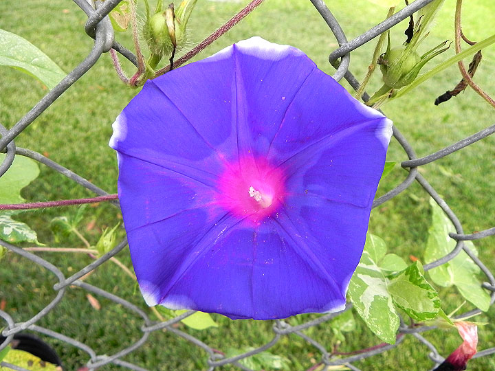 DSCN7563