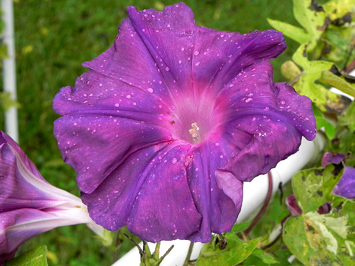 DSCN7583
