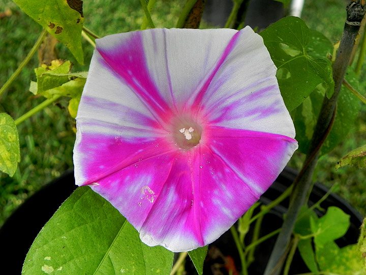 DSCN7606_01