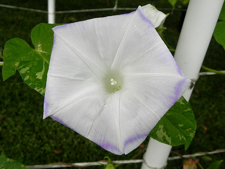 DSCN7607_01