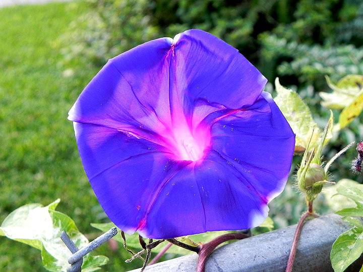 DSCN7697